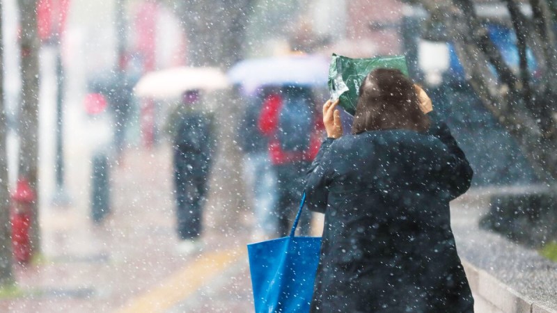 雨울한 휴일