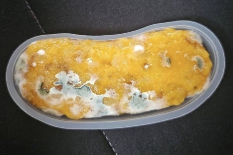 17일 온라인 커뮤니티에는 빽다방에서 파는 디저트 