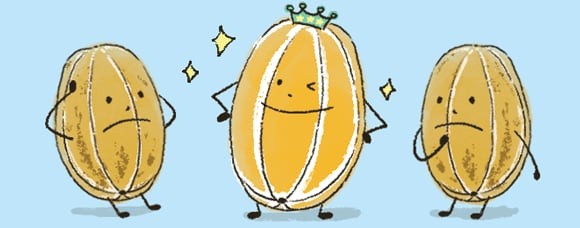 [리빙포인트] 참외 고를 땐 줄무늬 보세요