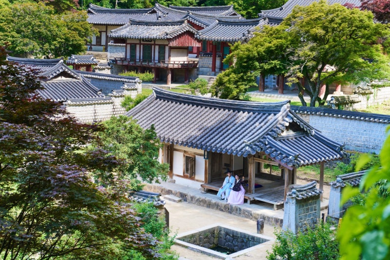 [조용헌 살롱] [1506] AK(안동·경북) 1급 양반 후손들의 특징