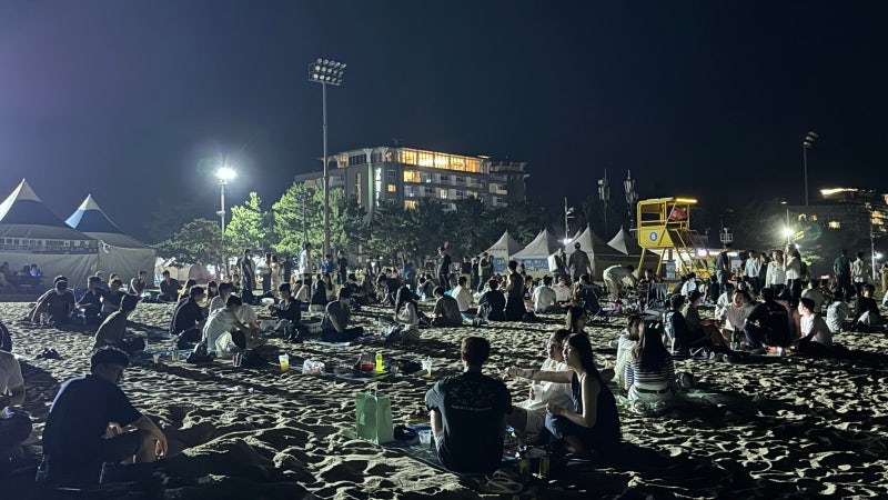 [기자의 시각] 해변의 낭만 삼킨 ‘유흥 민폐’
