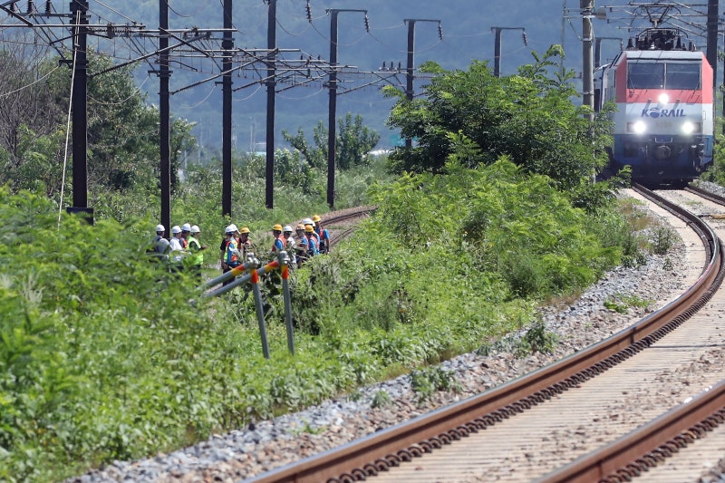 <b>열차</b> 감지 앱도 있었는데... 시속 100km ‘무궁화호’에 참변