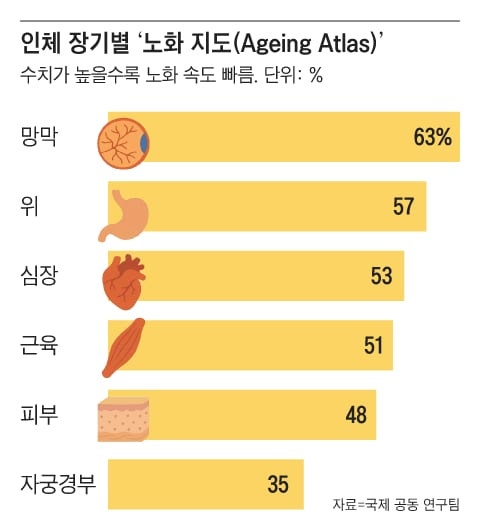 사람 몸에서... 망막이 빨리 늙고, 자궁경부가 늦게 늙는다
