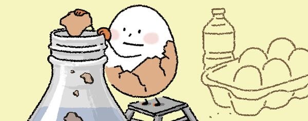 [리빙포인트] 병 내부 닦을 땐 달걀 껍데기