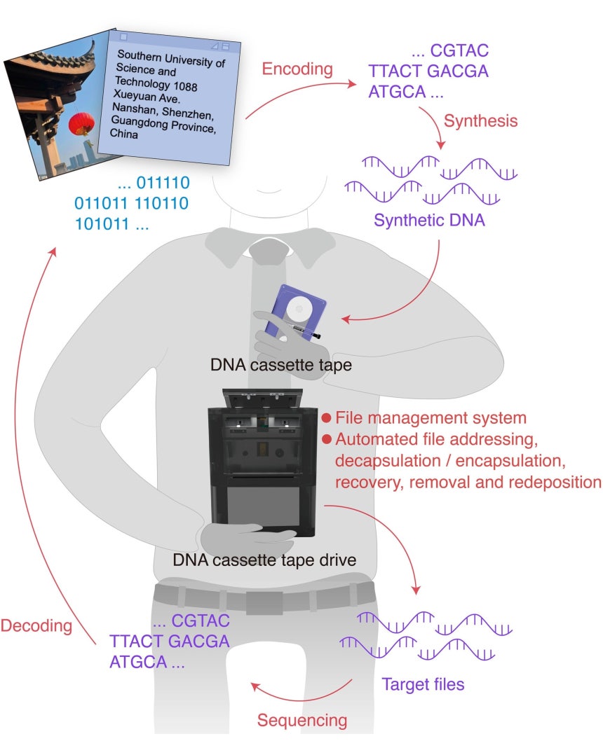 데이터를 DNA 서열로 바꿔 테이프에 기록하고, 시퀀싱으로 다시 읽어낸다./중국 남방과기대