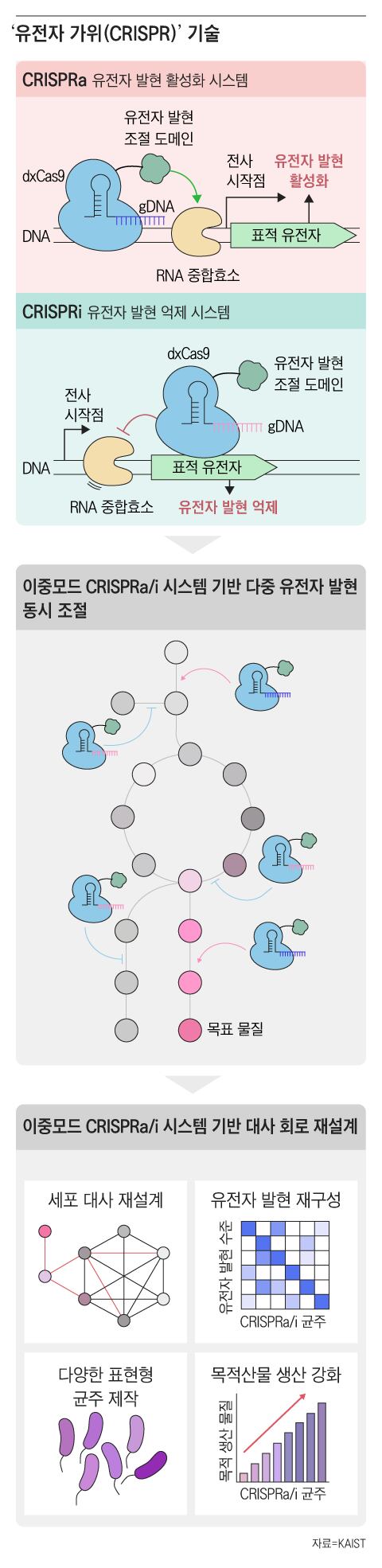 그래픽=조선디자인랩 김영재