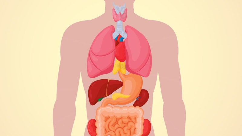 정기 검진으로 조기 발견… 암 정복 최선의 길이다