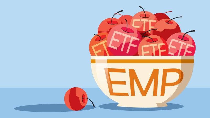 포트폴리오에 ETF  담는 ’초분산투자‘ 끝판왕 EMP 펀드... ETF 인기 등에 업고 성장