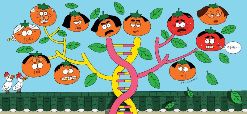 [김철중의 생로병사] 고마운 ‘질병 스포일러’ 가족력… 아빠 고혈압, 엄마 당뇨병, 그럼 나는?