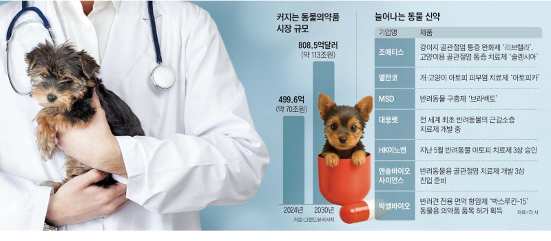 근감소증·아토피... 신약 개발 때 반려동물 약도 함께 만든다 - 뉴스 썸네일 이미지