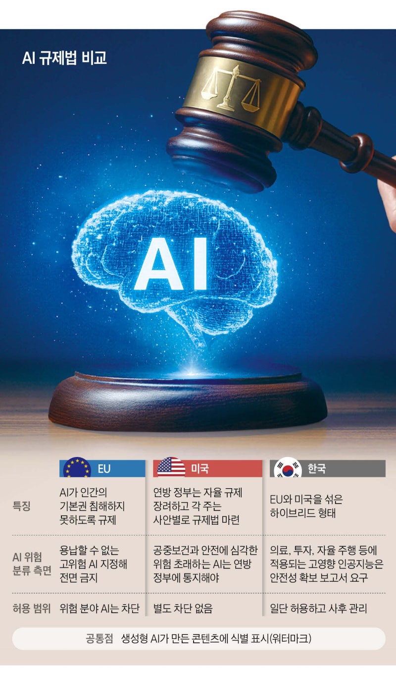 AI 규제… 한국, EU보다 자율적이고 美보다 엄격