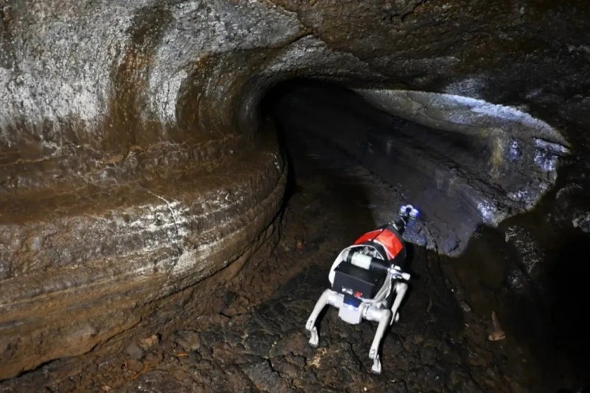 지난 달 말 중국 베이징 대학교 연구팀이 성능 테스트를 시작한 달 탐사용 로봇 개의 모습. 달의 유인기지 후보지로 유력한 지하 동굴 탐사에 적합하도록 설계됐다./Handout