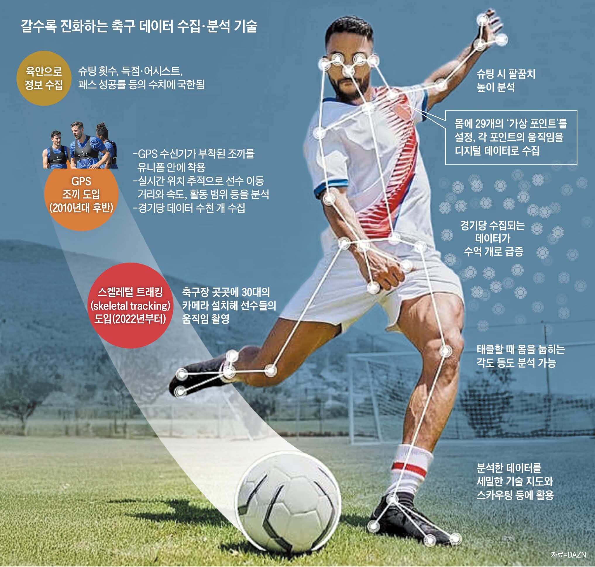 뼈마디가 알려준다, 누가 더 좋은 선수인지