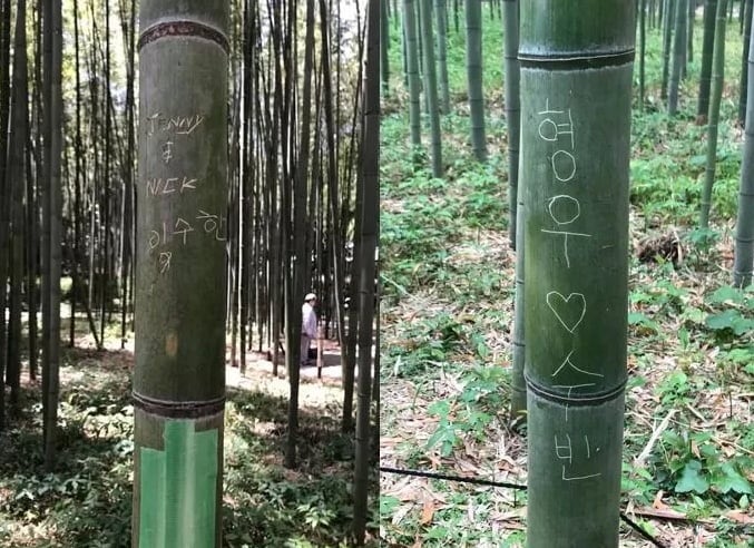 嵐野馬大林の竹に書かれた韓国語楽しみで./ペイスブック