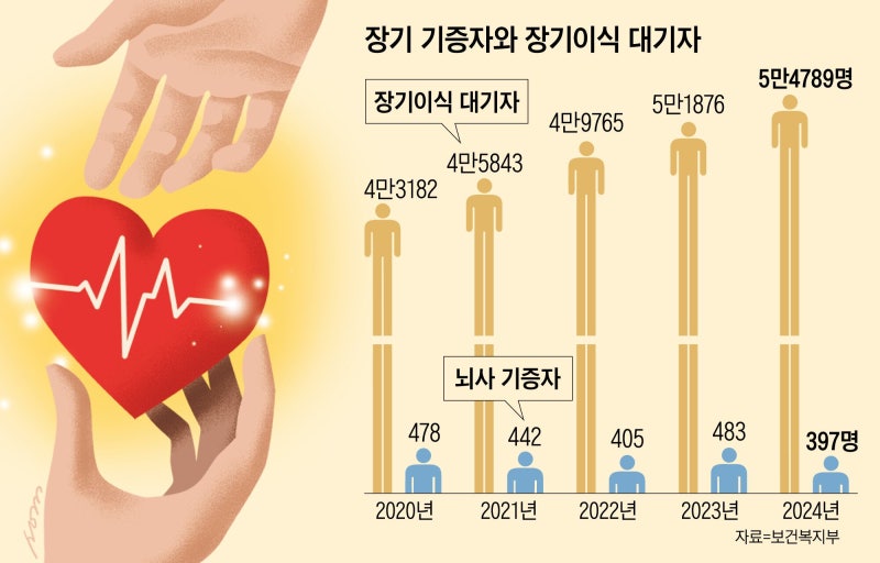 뇌사자 아닌 연명치료 중단자도 장기기증 가능