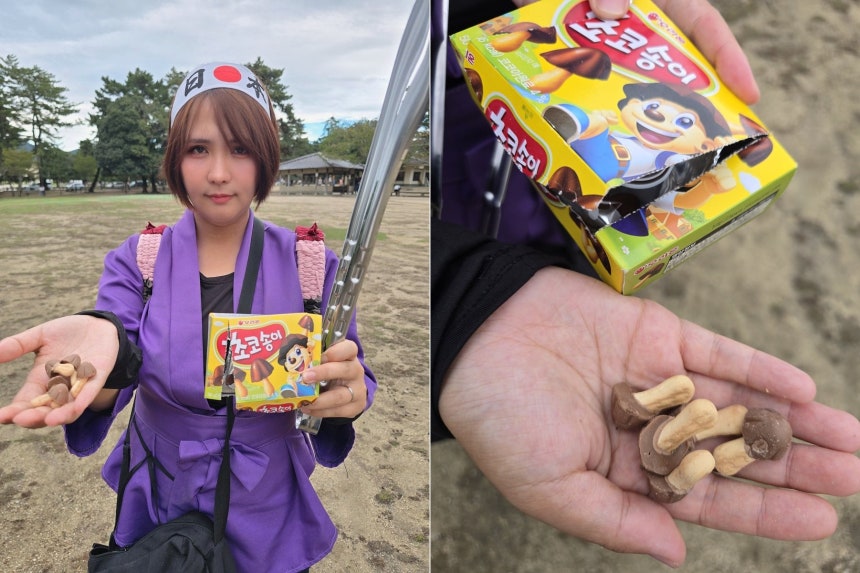 일본 시의원 아내, 초코송이로 K-관광객 저격하다가 역풍 맞았어?