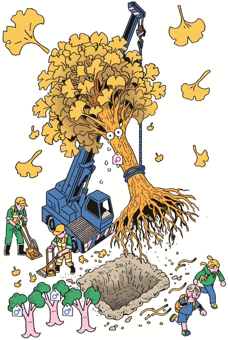 “지금은 性전환 중입니다”… 은행나무, 거리의 젠더 논쟁