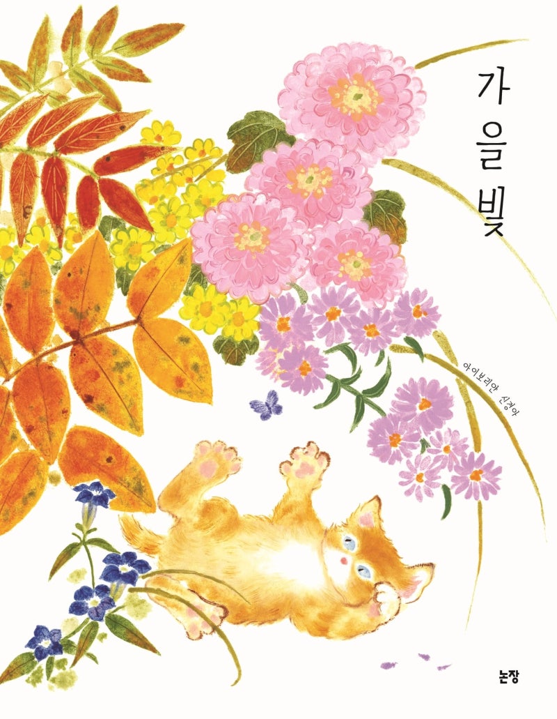 [그림이 있는 도서관] 빨간색 단풍·노란색 햇빛… 찬란한 가을을 간직할래요