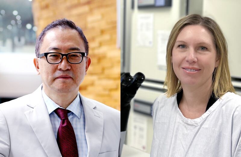 멜버른대 케이티 아이어스 교수, 제12회 ‘차광렬 줄기세포상’