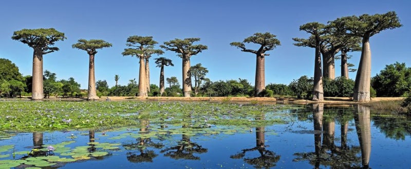 “안다고 믿는 순간 나는 멈춘다... ‘모름’이 나를 날게 한다”