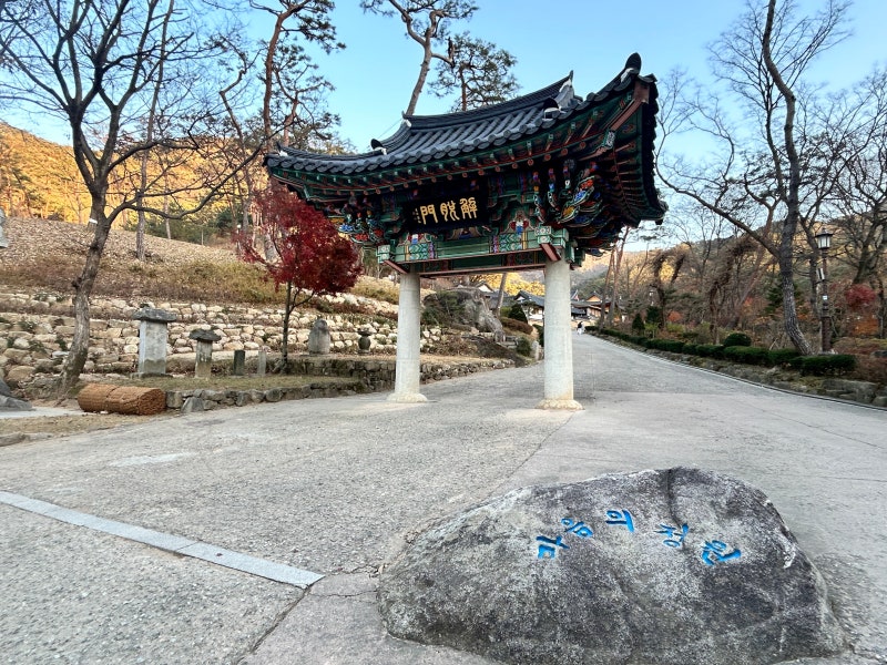 ‘마음의 정원’ 거닐고, ‘대화 금지령’ 서재서 책 읽고