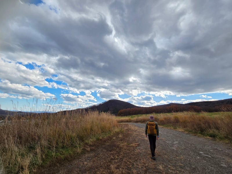 ‘폐허의 땅’에 돋은 치유의 길… 곰 대신, 곰 닮은 남자를 만났다