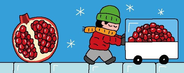 [리빙포인트] 석류는 알을 분리해서 냉동