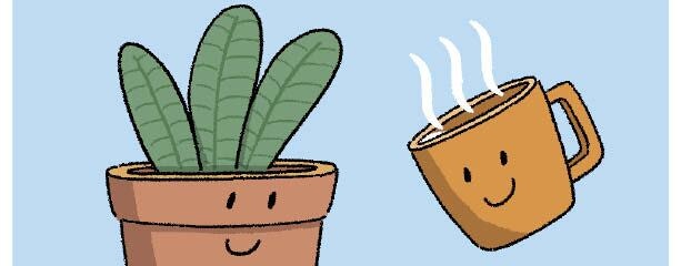 [리빙포인트] 겨울철 화분엔 미지근한 물