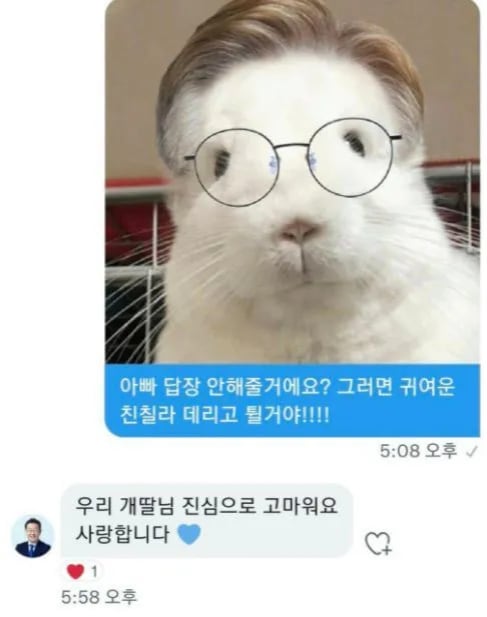 이재명 대통령이 2022년 대선 당시 '재명아빠'로 불리는 온라인 팬클럽을 통해 '개딸'과 주고받은 것으로 알려진 문자./인터넷 커뮤니티