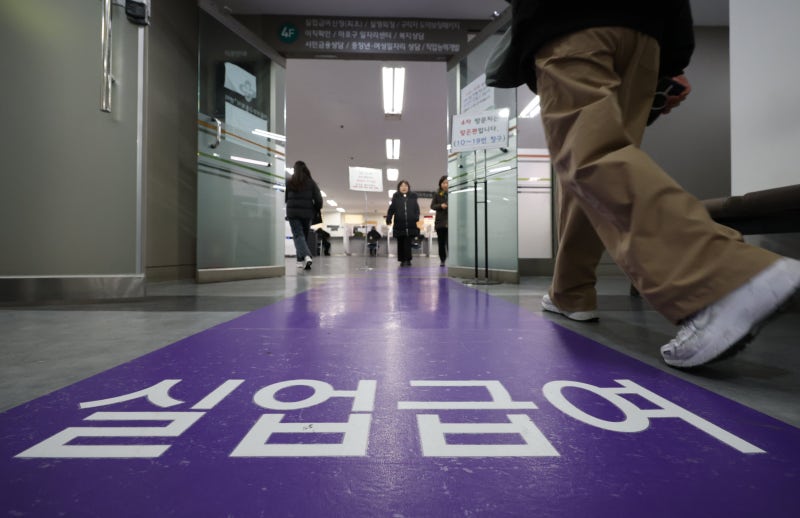 [류호정의 톱밥 먹는 중입니다] [11] 나는 실업급여 ‘자격 미달’ 칼럼니스트입니다