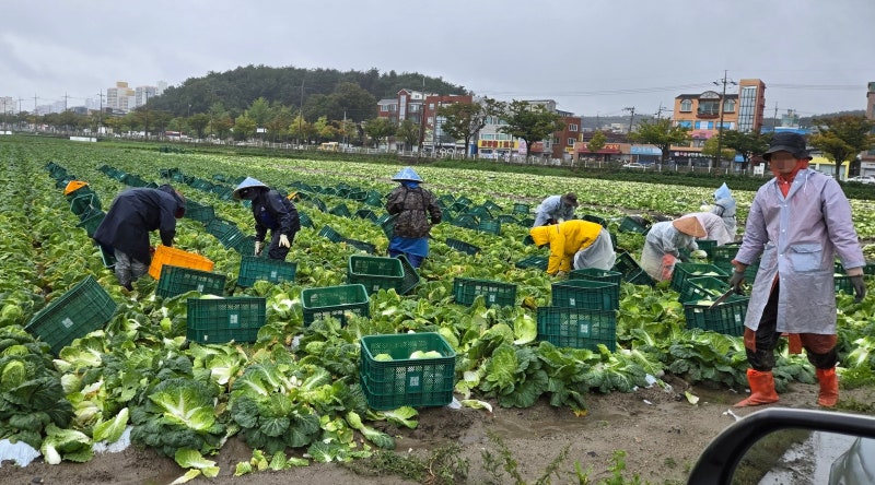 외국인 근로자 110만명 돌파... 최대 고충은 “빠른 작업 속도”