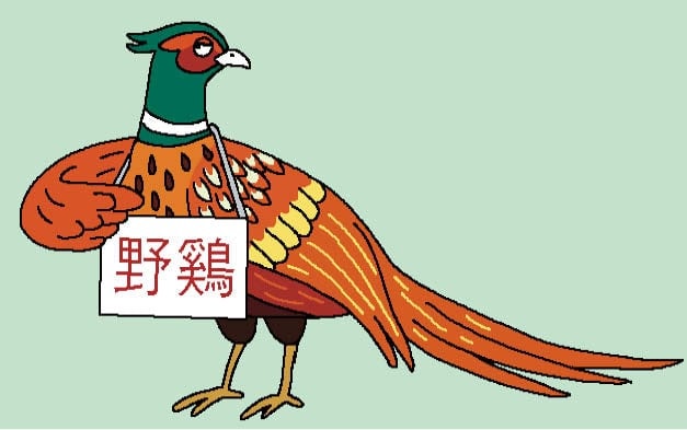 [유광종의 차이나 別曲] [378] 꿩을 꿩이라 하지 못하는 이유