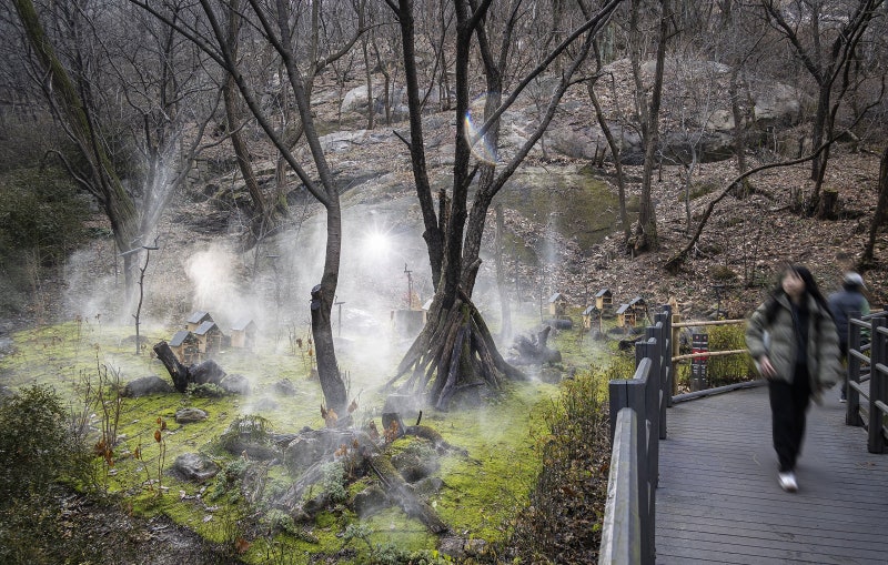 동네가 이끼로 뒤덮인다