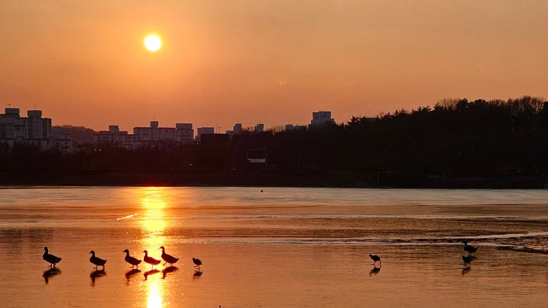 누군가와 함께 걷는 이 겨울