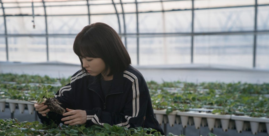 '미지의 서울'에서 주인공 쌍둥이 자매를 연기한 배우 박보영./tvN