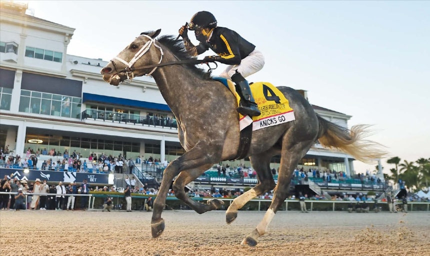세계 챔피언 시절 힘차게 트랙을 달리는‘닉스고’의 모습.다음달부터 한국마사회 제주목장에서 종마로 활동한다./한국마사회