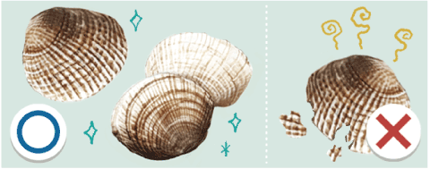 [리빙포인트] 꼬막 고르는 법