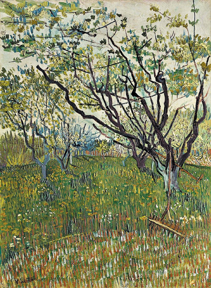 보이는 대로 아닌 느끼는 대로 붓질… 화가로 만개할 날 기다리며 그린 봄꽃