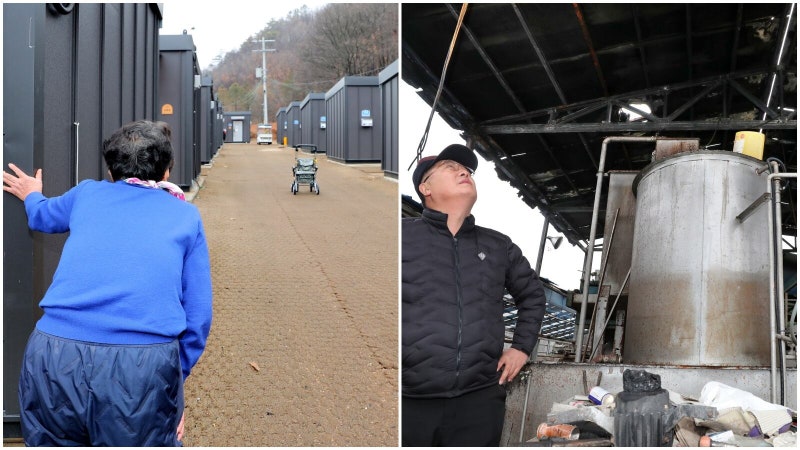 경북 산불 10개월 “돌아갈 곳은 8평 컨테이너” “돌아갈 수 없는 평생 일터”