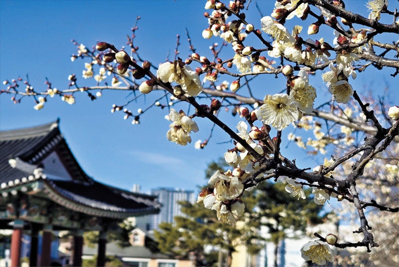 작년 연평균 기온 13.7도… 관측 이래 두번째로 높아