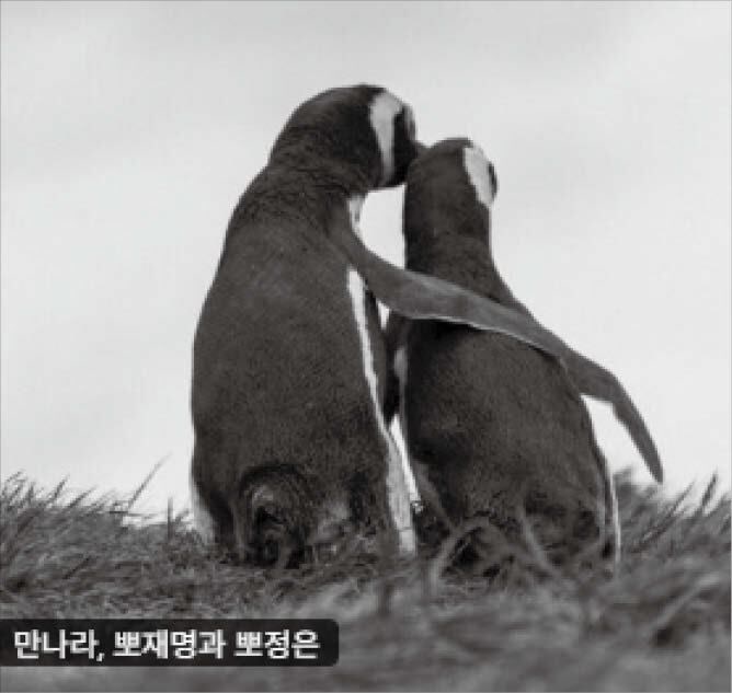 李, 귀국길에 “만나라, 뽀재명과 뽀정은”… 北은 대규모 열병식 준비