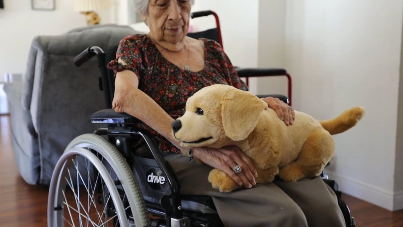 [CES 2026] AI가 노년 책임진다... 건강하게 오래 사는 기술 대거 등장