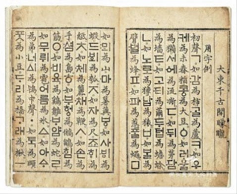 [정수윤의 길을 걸으며] [11] 오백년 앞을 볼 수 있다면