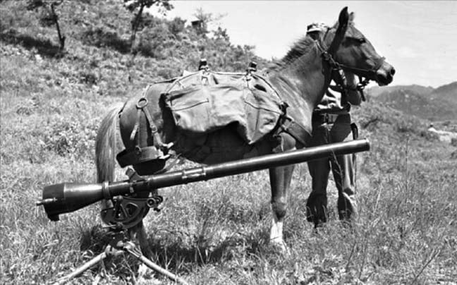 [  단독] ‘6·25 영웅馬’ 동상, 평택 미군 기지에 세워진다