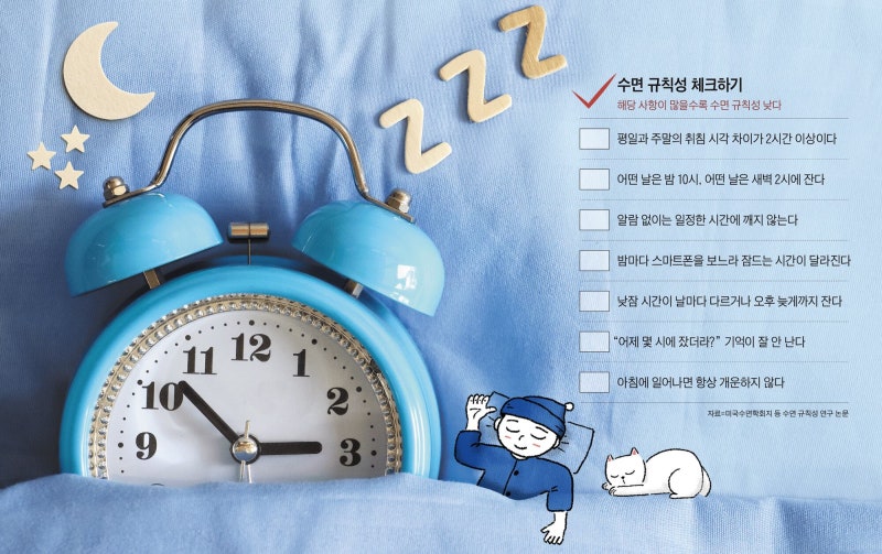 ‘몇 시간 잤나’보다 일정한 시간에 자고 깨는 게 중요