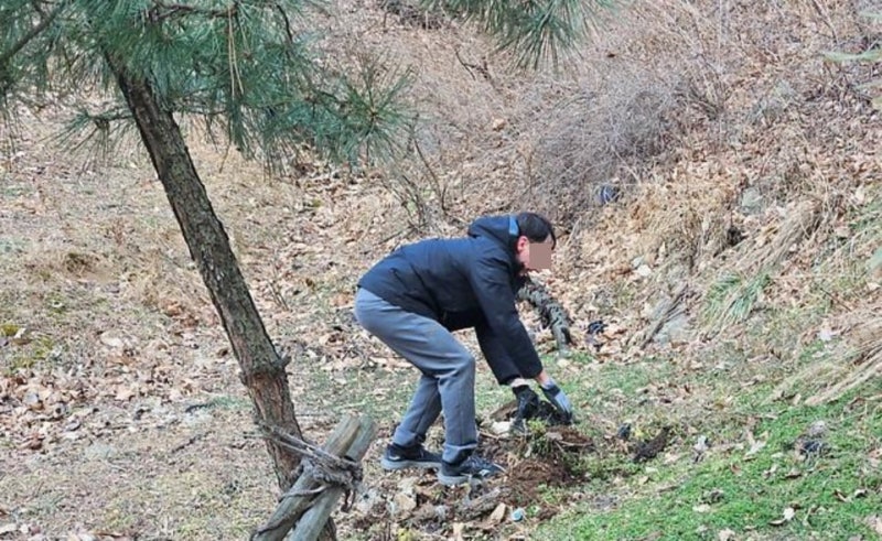 한국인 등산객은 그냥 가는데... 강추위 산속 쓰레기 치운 외국인