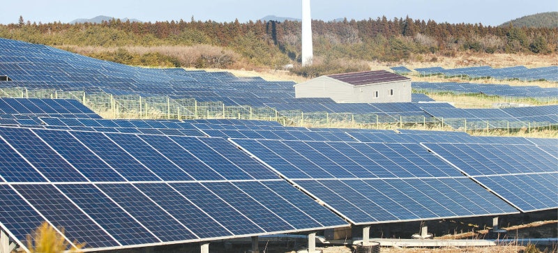 태양광 발전 창업 1만개 줄었다… 출력 제어 때문에