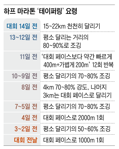 [지영준의 러닝 코칭] “풀코스 마라톤 출전 20일 전부터 훈련량 줄이세요”