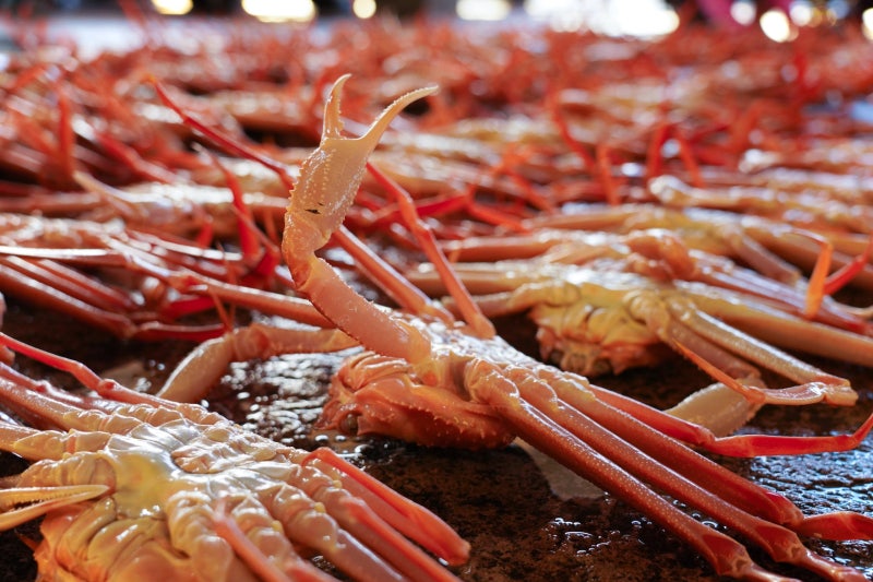 작년 개통된 동해선 덕에… 신바람 난 울진 대게