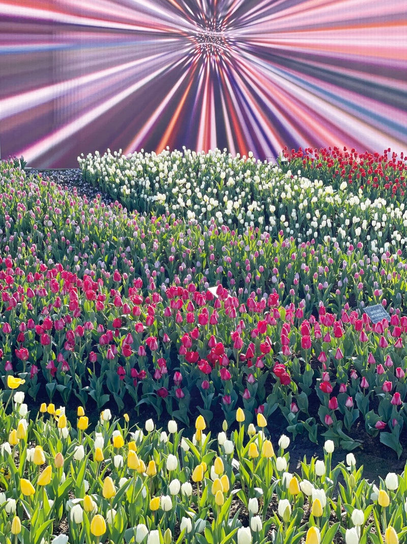 [잠깐이저자] 놀이동산 ‘식물 총감독’ “좋은 정원엔 개성이 있죠”